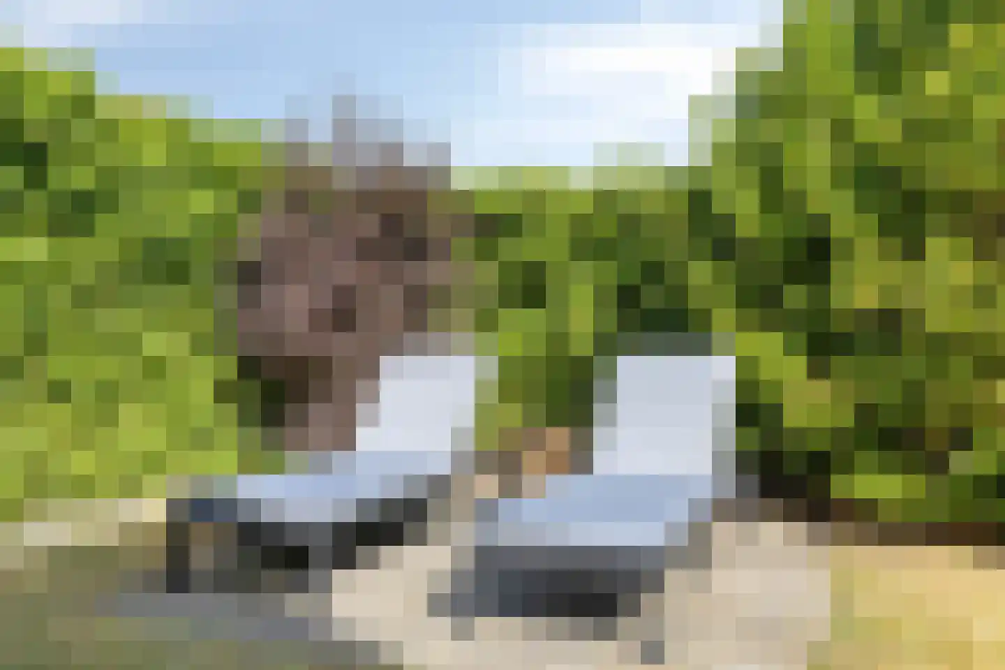 Het Noorderlicht 2 Zuidhorn thumbnail 32