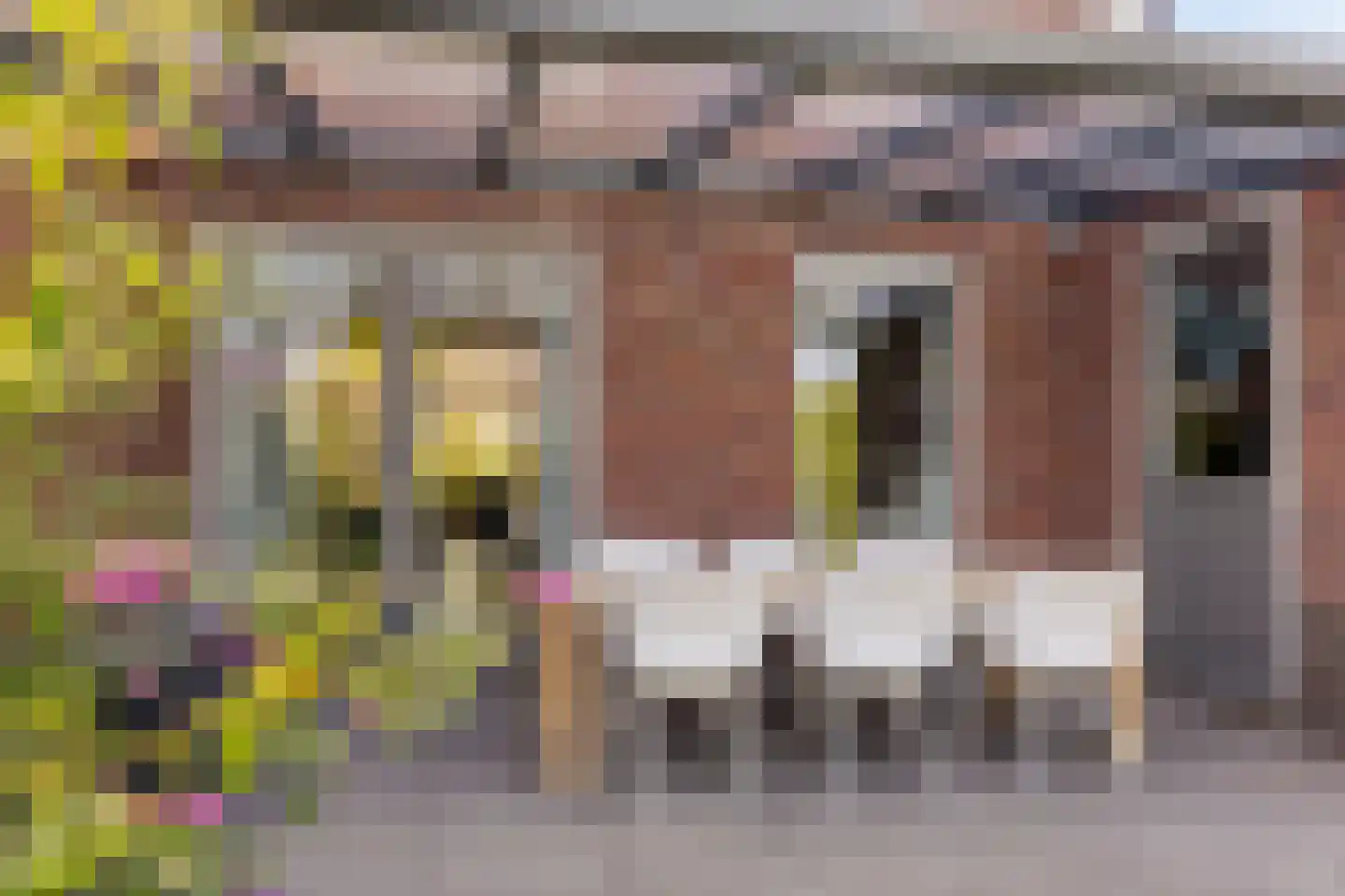 Het Noorderlicht 2 Zuidhorn thumbnail 4