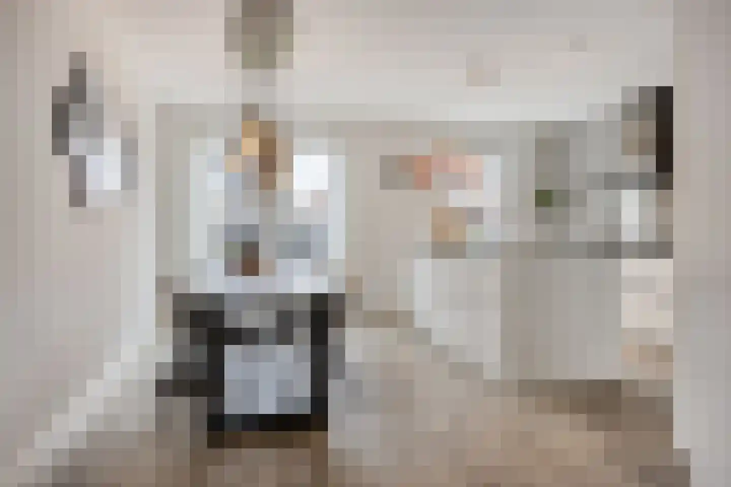 Het Noorderlicht 20 Zuidhorn thumbnail 14