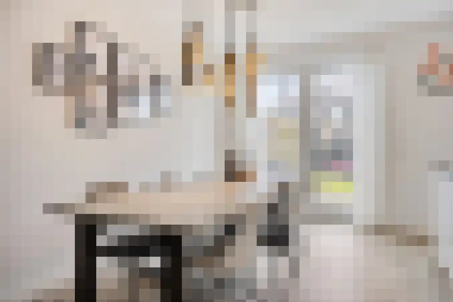Het Noorderlicht 20 Zuidhorn thumbnail 18