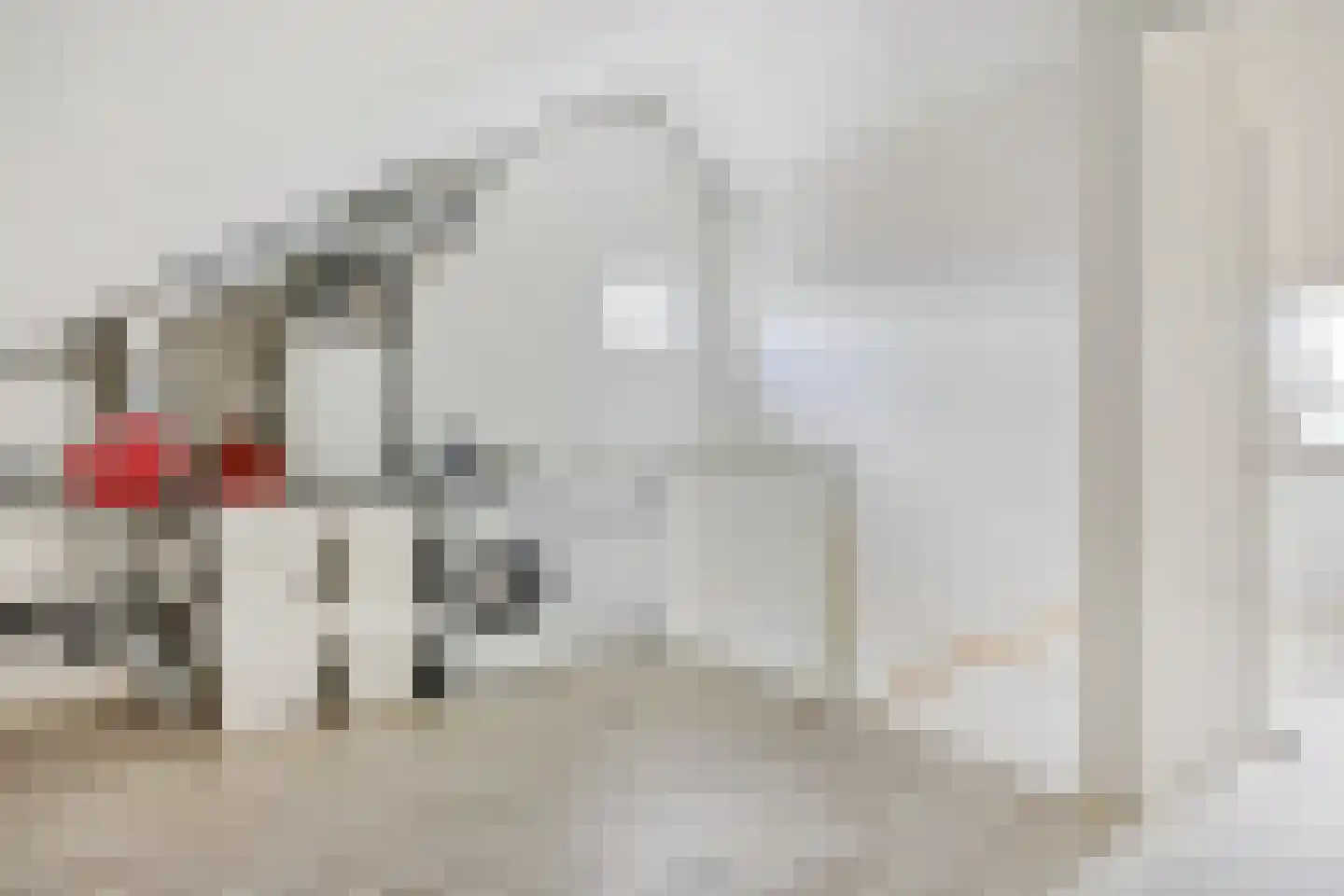 Het Noorderlicht 20 Zuidhorn thumbnail 33