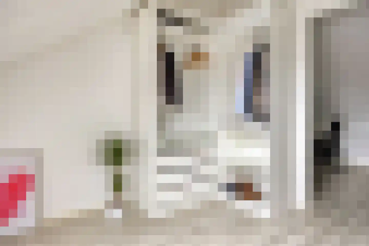 Het Noorderlicht 20 Zuidhorn thumbnail 35