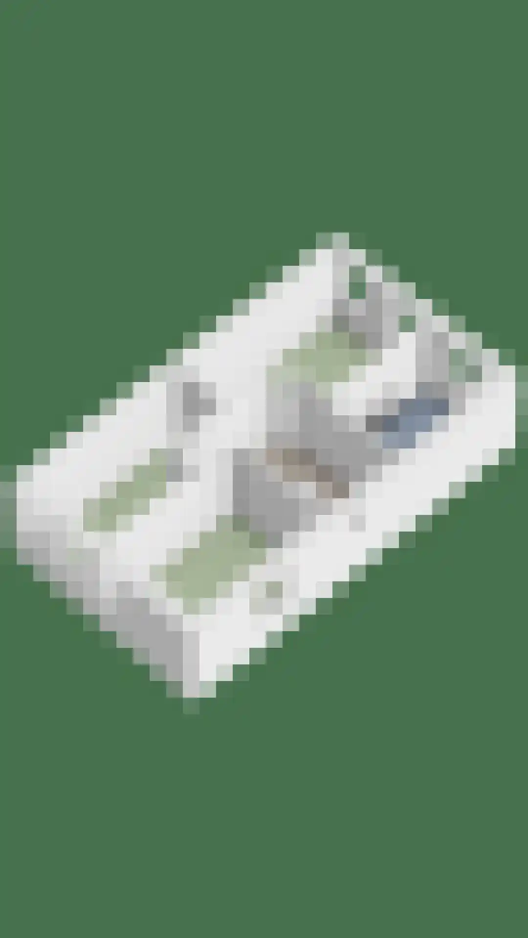 Het Noorderlicht 20 Zuidhorn thumbnail 44