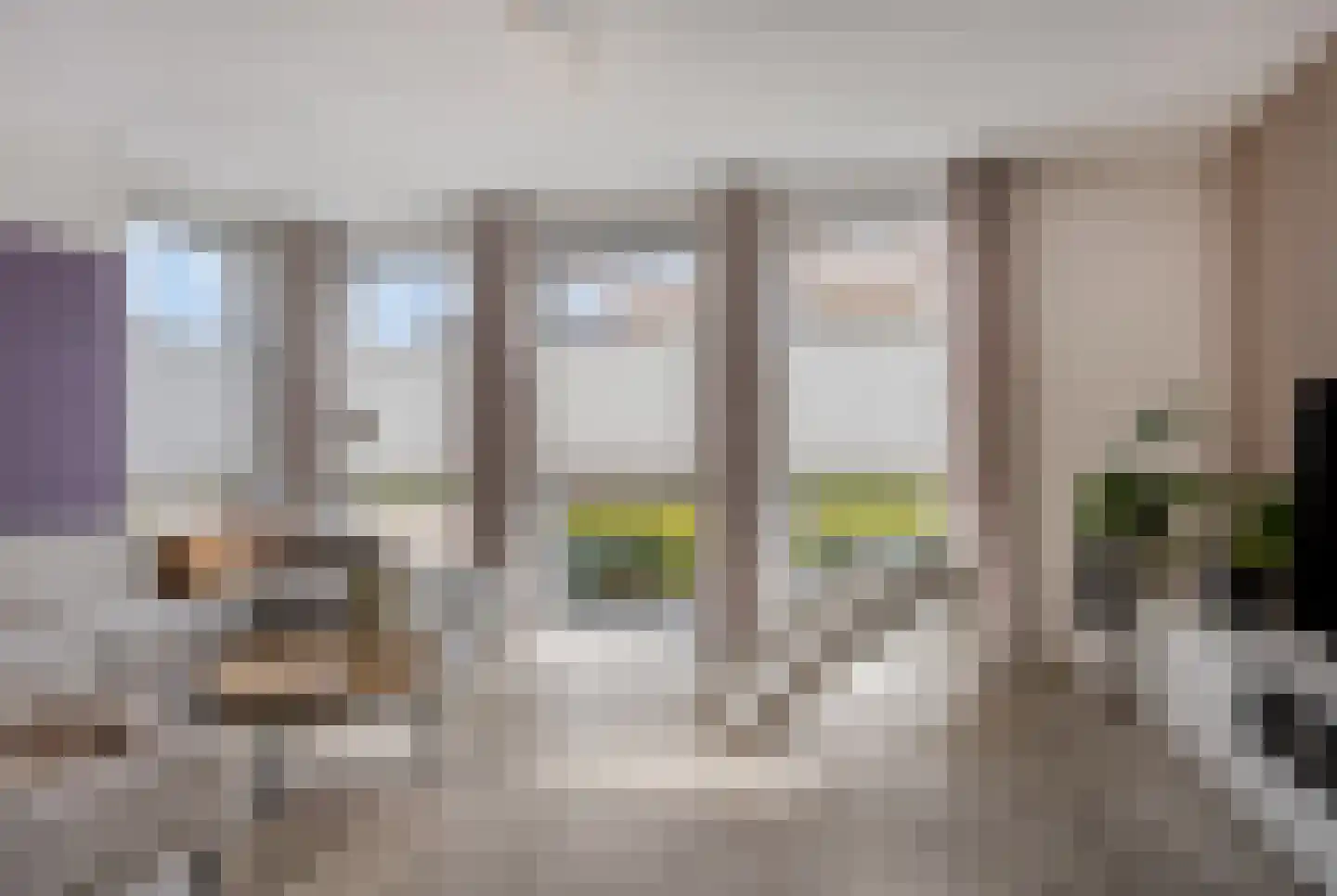 Het Noorderlicht 20 Zuidhorn thumbnail 9
