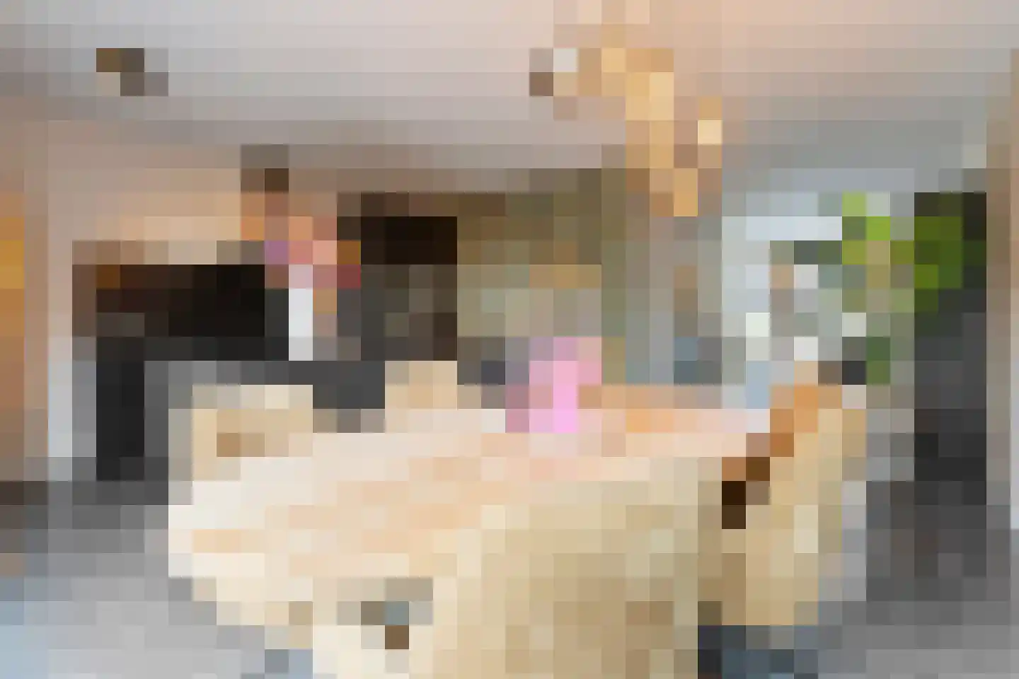 Het Noorderlicht 36 Zuidhorn thumbnail 20