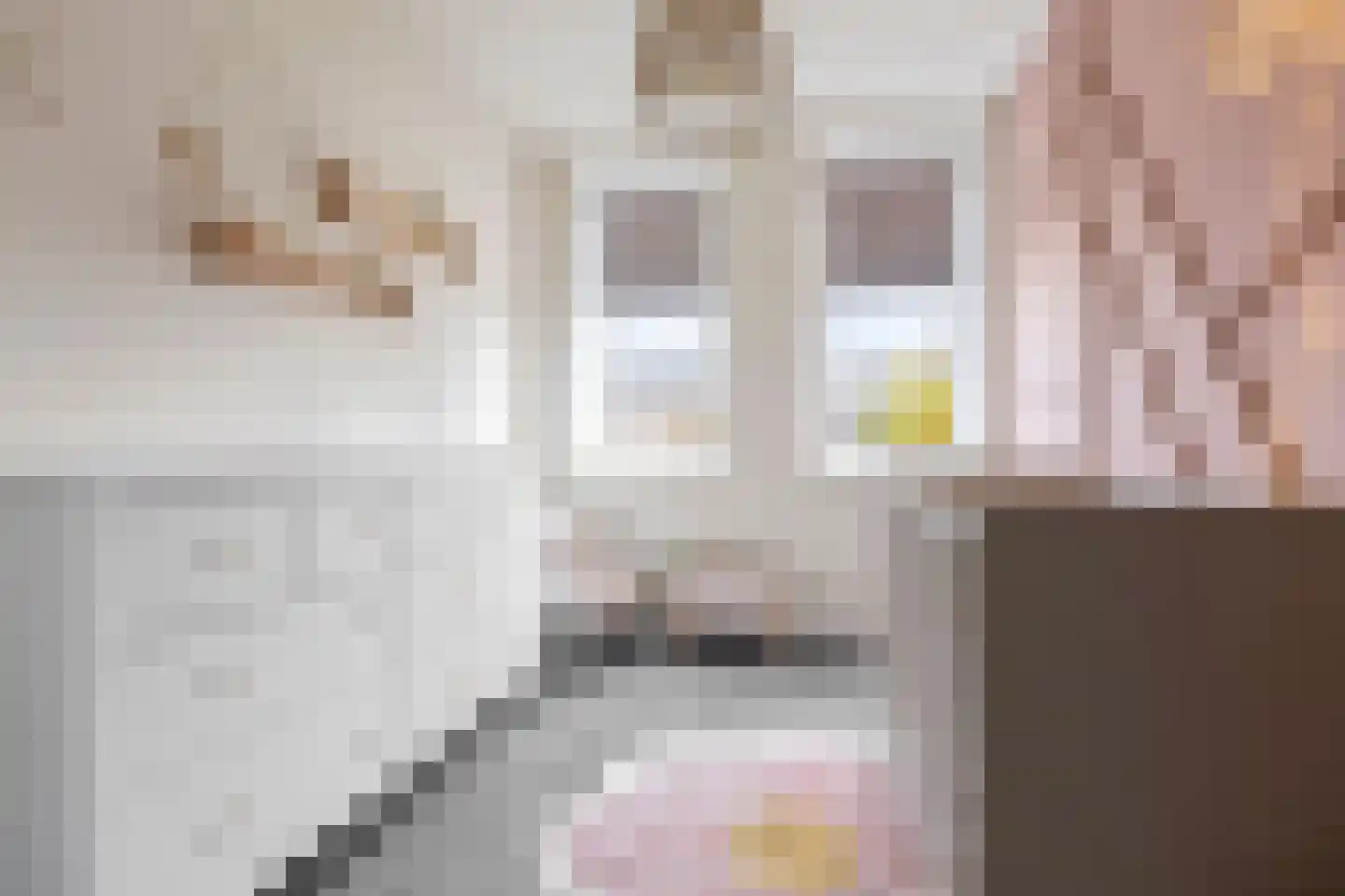 Het Noorderlicht 36 Zuidhorn thumbnail 31
