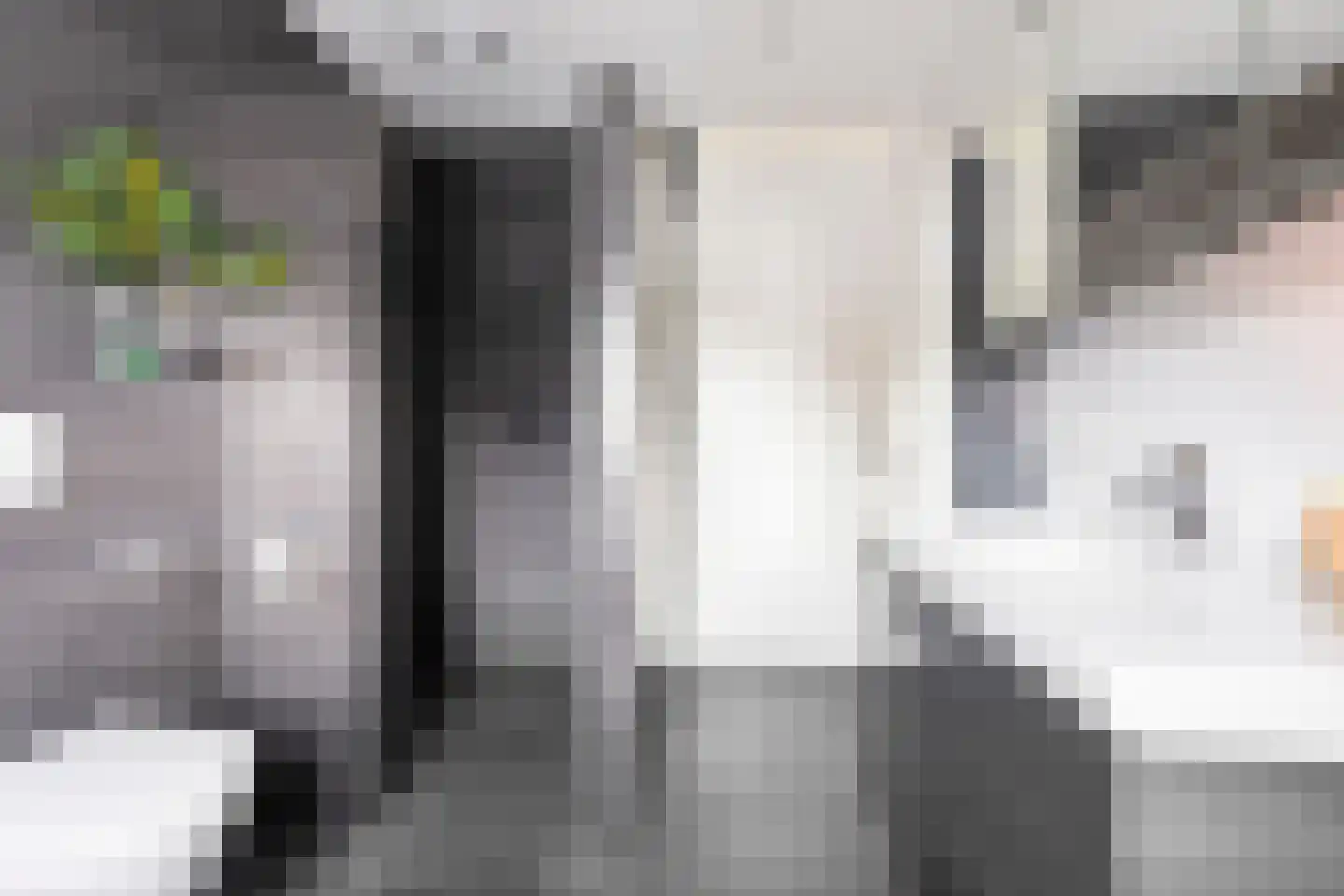 Het Noorderlicht 36 Zuidhorn thumbnail 33