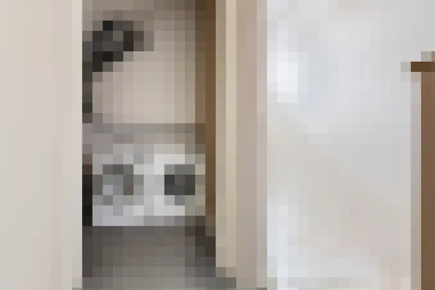 Het Noorderlicht 36 Zuidhorn thumbnail 39