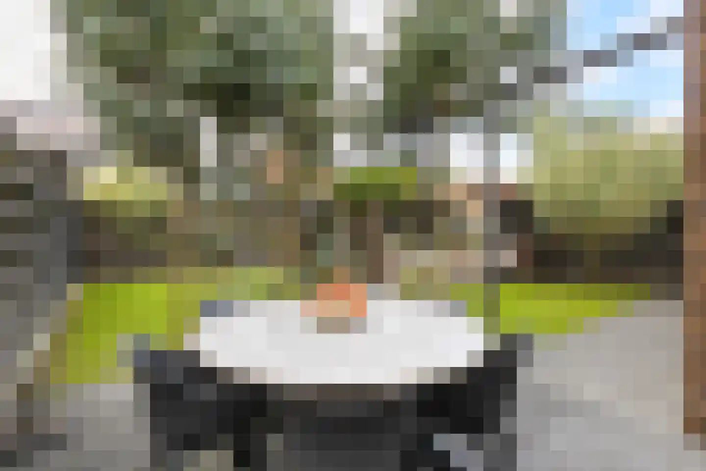 Het Noorderlicht 36 Zuidhorn thumbnail 40