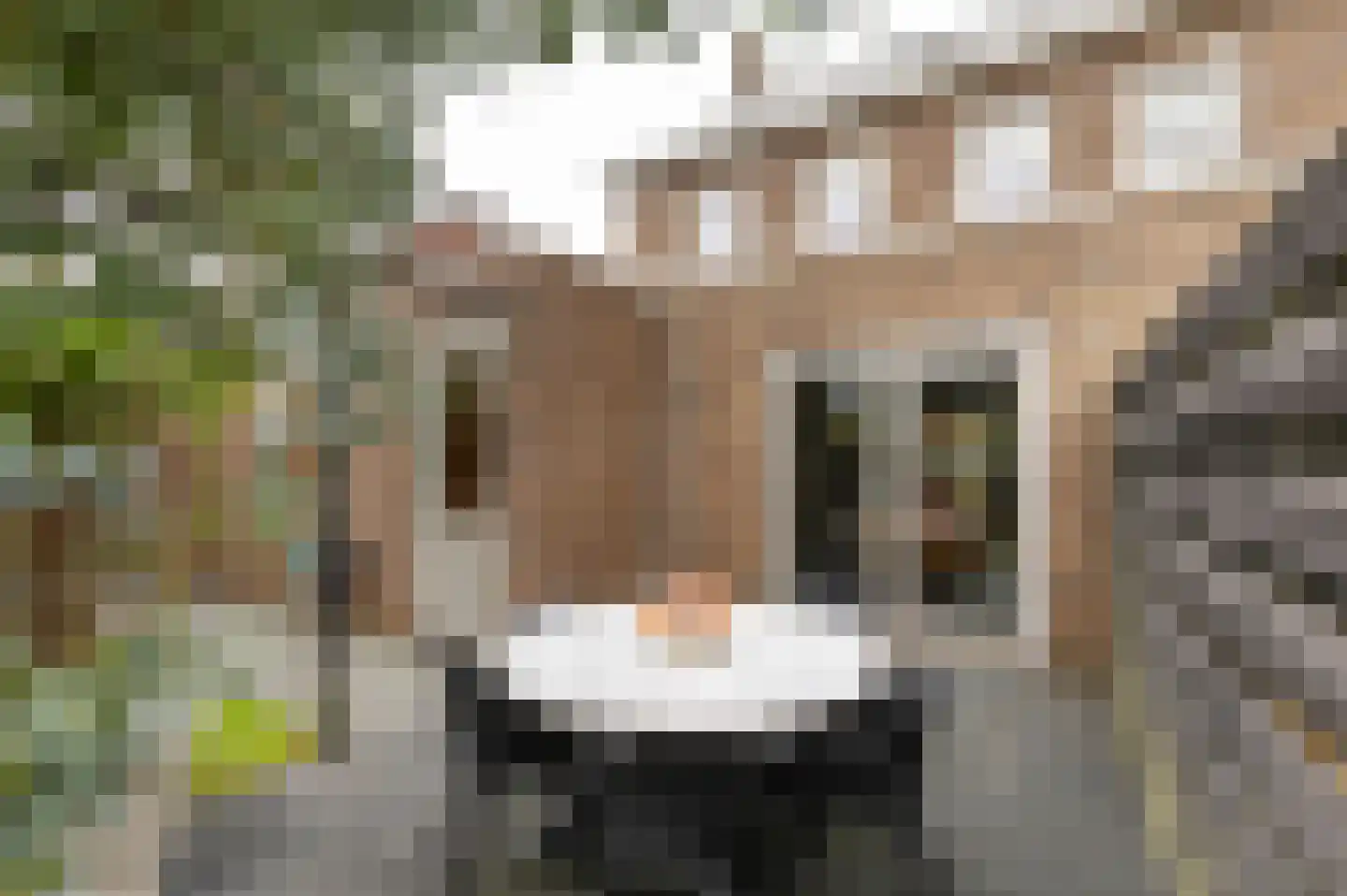 Het Noorderlicht 36 Zuidhorn thumbnail 41