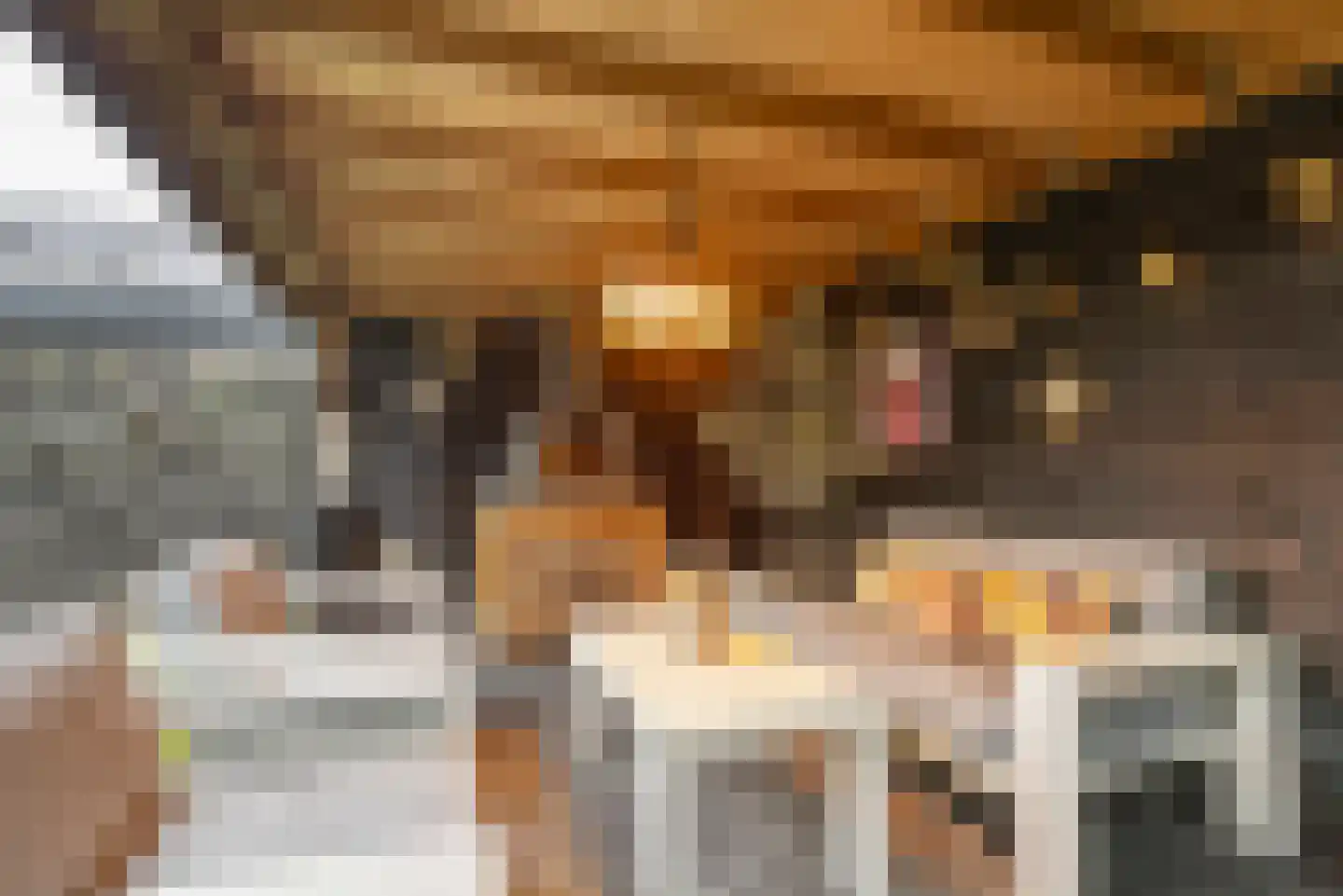 Het Noorderlicht 36 Zuidhorn thumbnail 45
