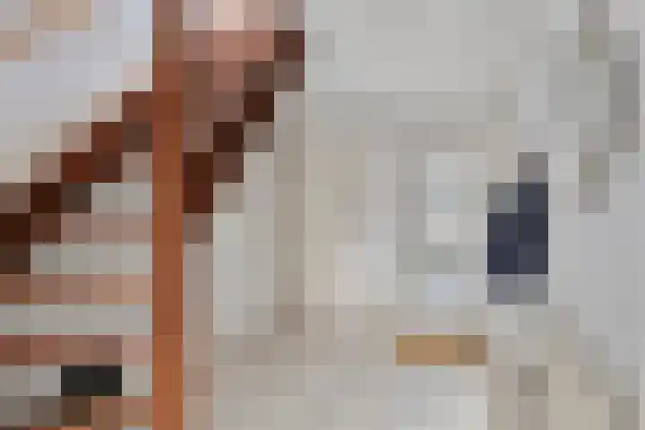 Het Noorderlicht 5 Dronten thumbnail 10