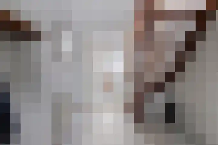 Het Noorderlicht 5 Dronten thumbnail 11