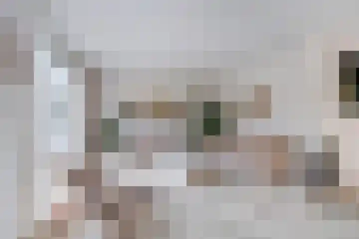Het Noorderlicht 5 Dronten thumbnail 15
