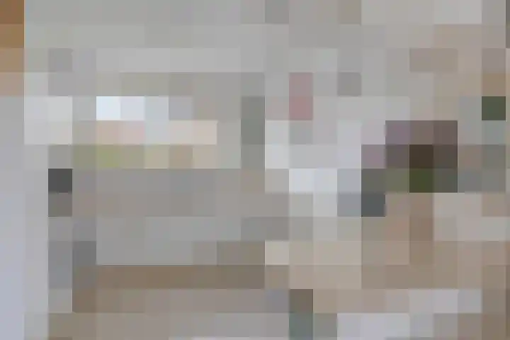 Het Noorderlicht 5 Dronten thumbnail 19