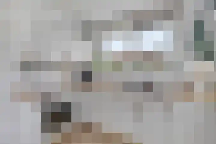 Het Noorderlicht 5 Dronten thumbnail 20