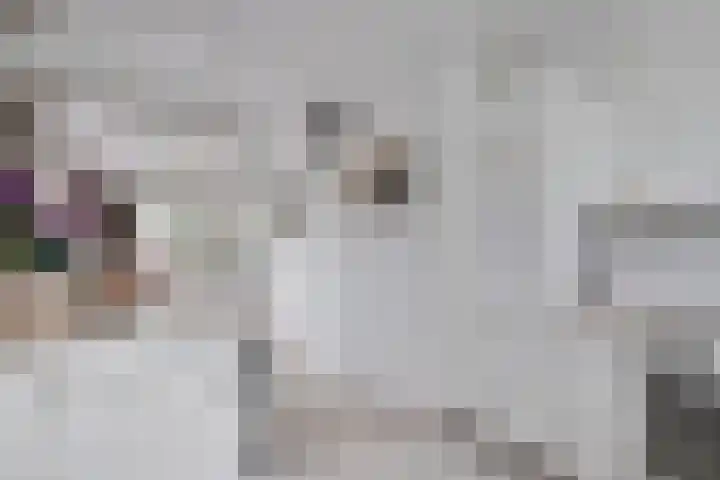 Het Noorderlicht 5 Dronten thumbnail 21