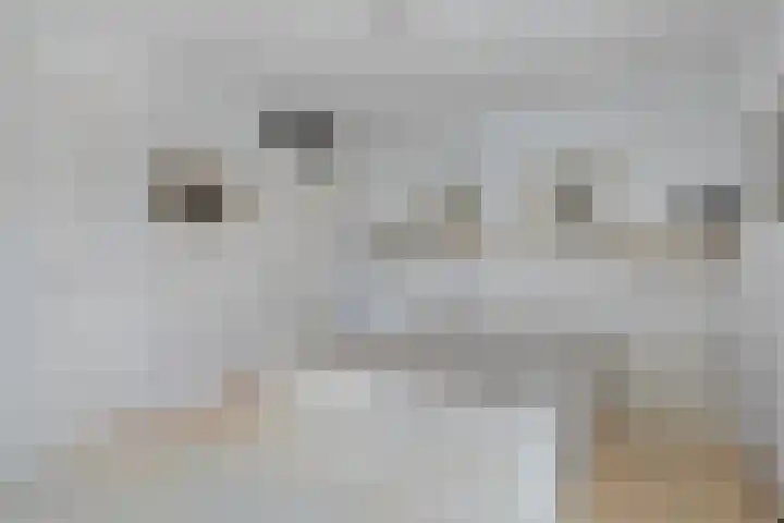 Het Noorderlicht 5 Dronten thumbnail 23