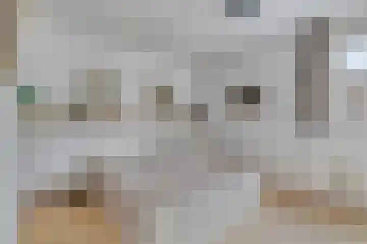 Het Noorderlicht 5 Dronten thumbnail 24