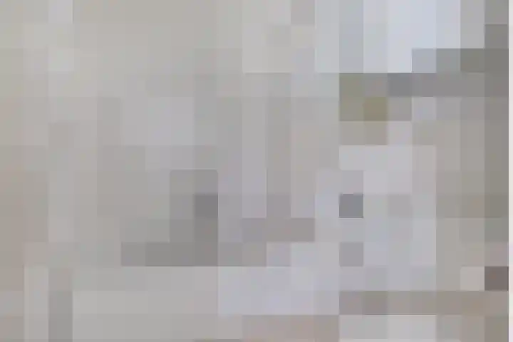 Het Noorderlicht 5 Dronten thumbnail 25