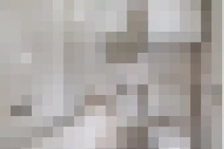 Het Noorderlicht 5 Dronten thumbnail 26