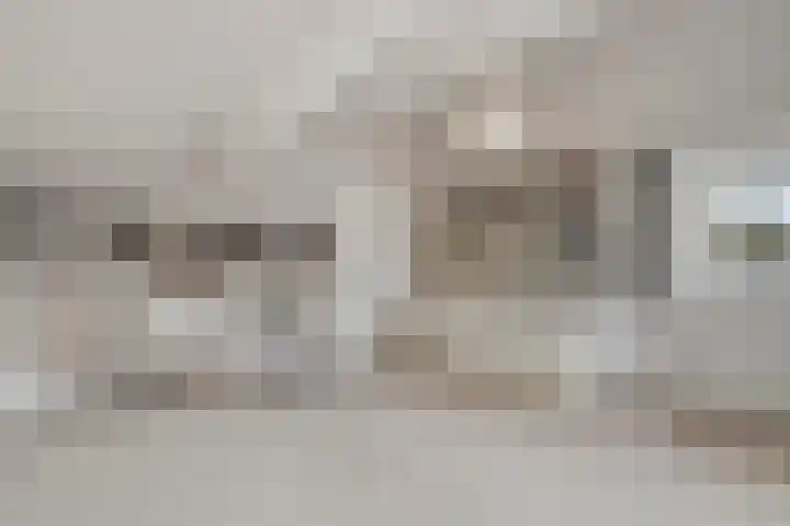 Het Noorderlicht 5 Dronten thumbnail 36