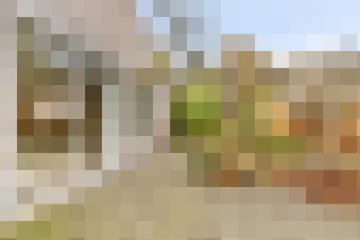 Het Noorderlicht 5 Dronten thumbnail 38