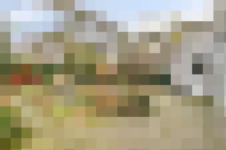 Het Noorderlicht 5 Dronten thumbnail 39