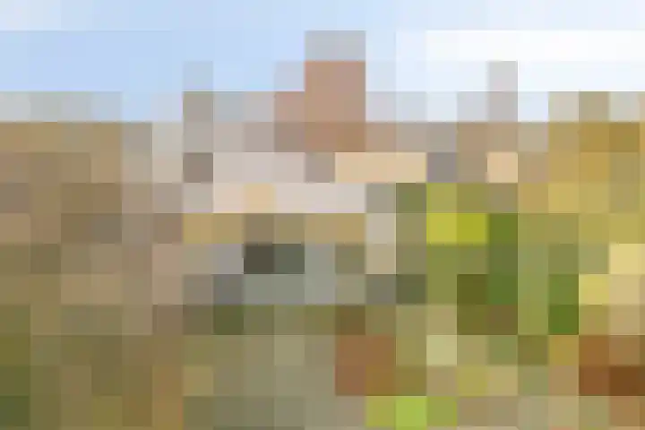 Het Noorderlicht 5 Dronten thumbnail 4