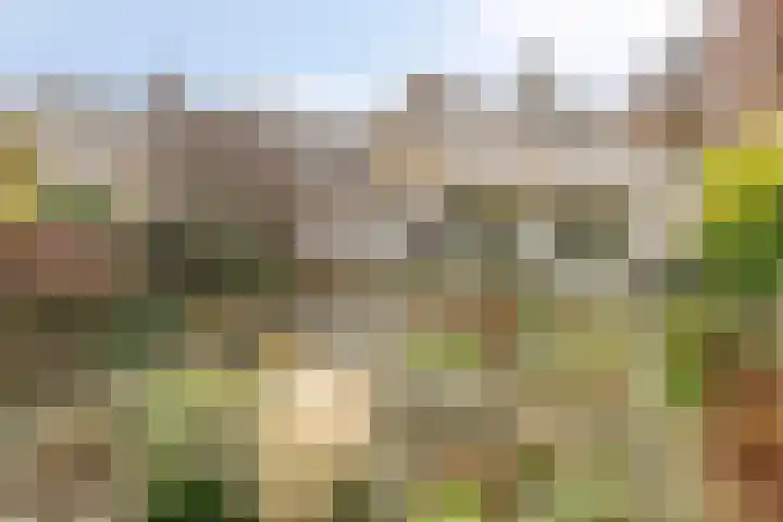 Het Noorderlicht 5 Dronten thumbnail 40
