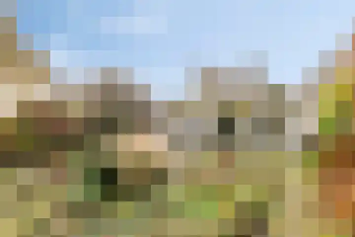 Het Noorderlicht 5 Dronten thumbnail 41