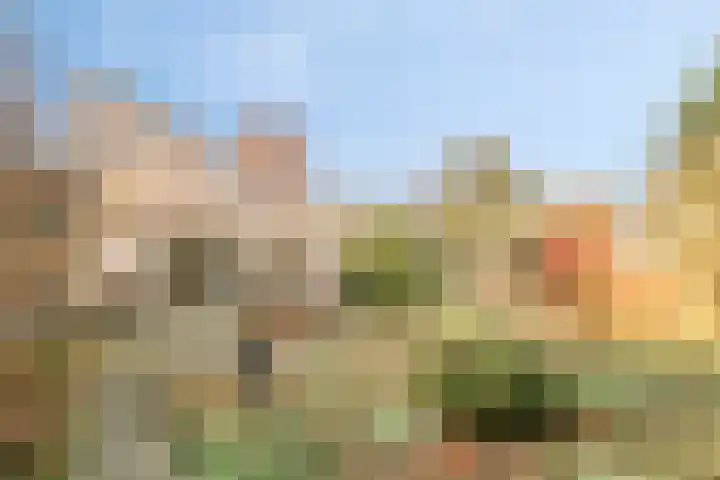 Het Noorderlicht 5 Dronten thumbnail 43