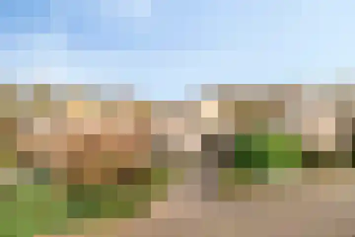 Het Noorderlicht 5 Dronten thumbnail 44