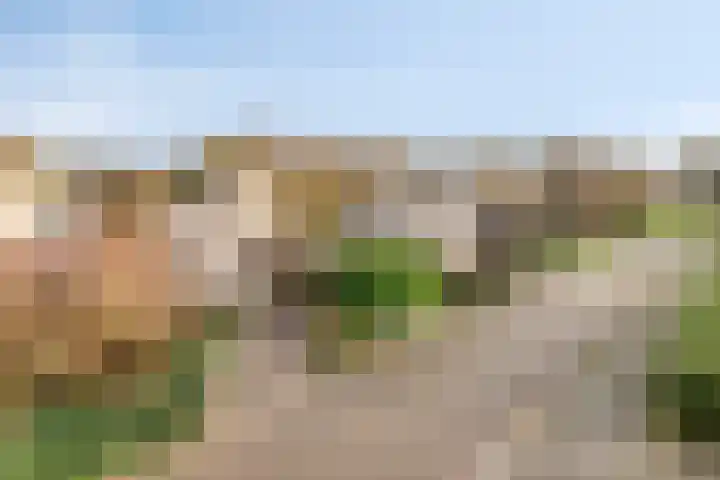 Het Noorderlicht 5 Dronten thumbnail 45
