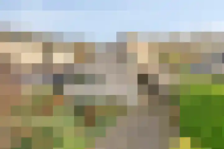 Het Noorderlicht 5 Dronten thumbnail 6