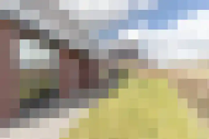 Het Noorderlicht 58 Zuidhorn thumbnail 15