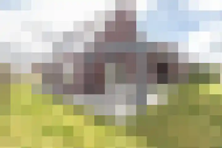 Het Noorderlicht 58 Zuidhorn thumbnail 16