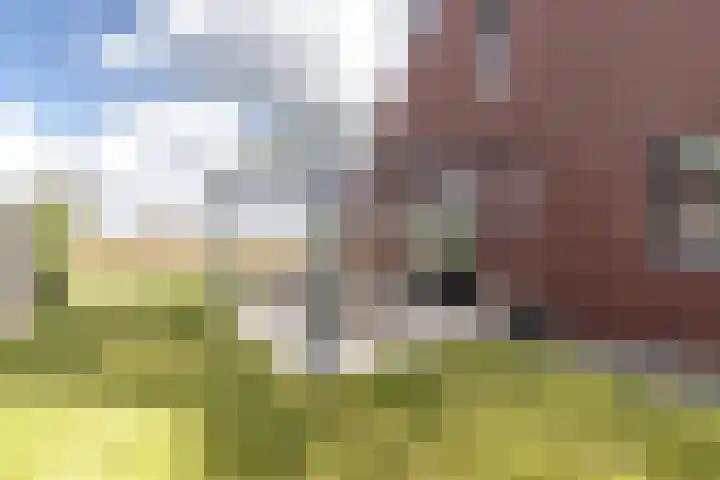 Het Noorderlicht 58 Zuidhorn thumbnail 17
