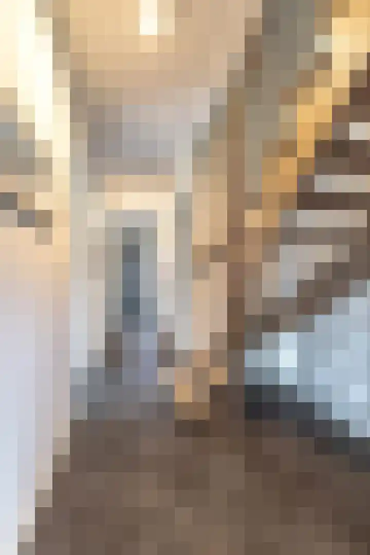 Het Noorderlicht 58 Zuidhorn thumbnail 35