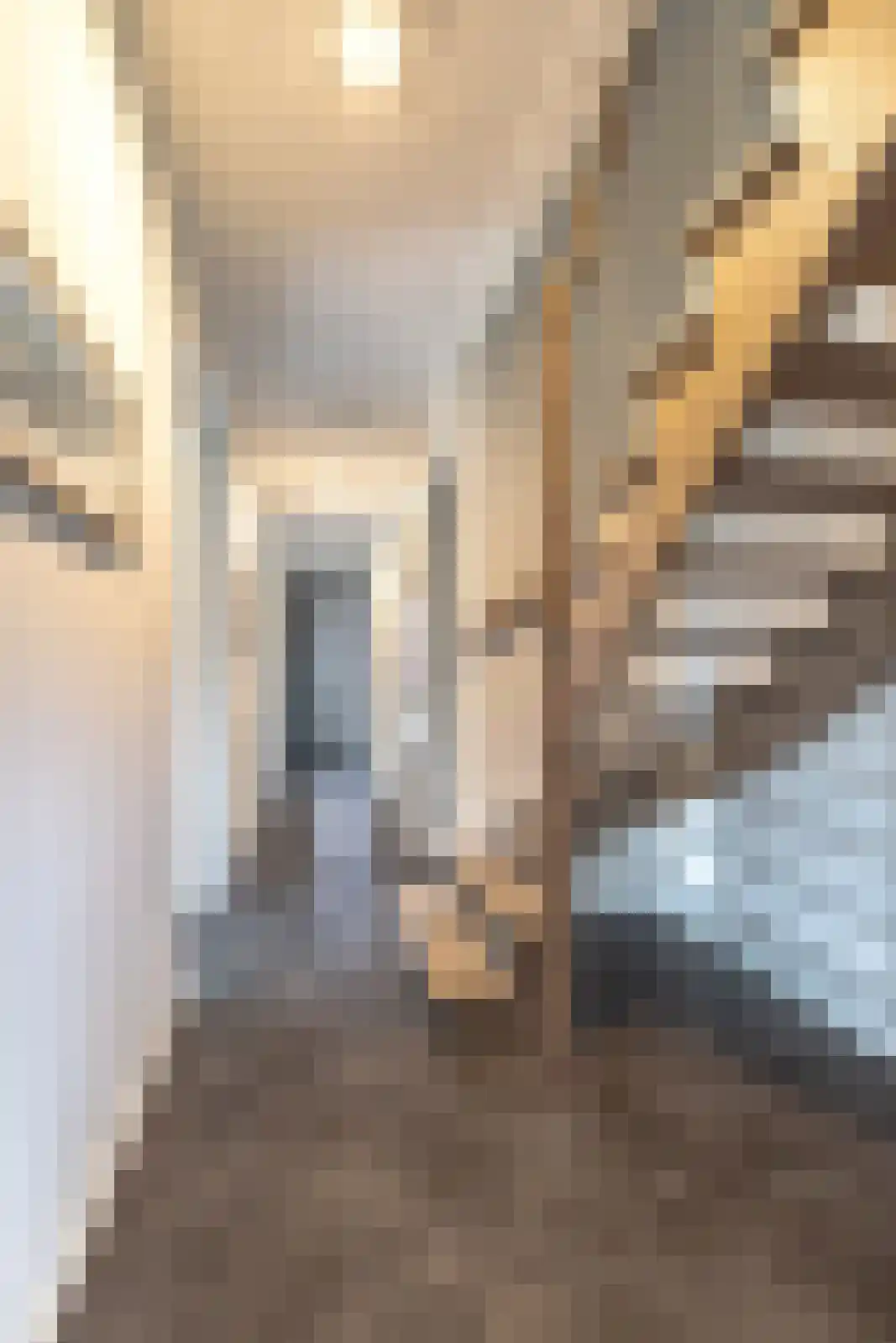 Het Noorderlicht 58 Zuidhorn thumbnail 35