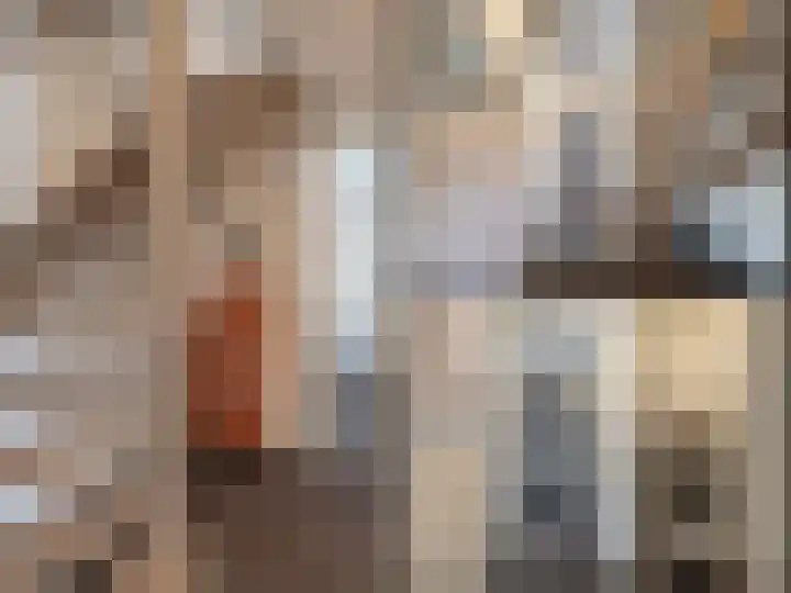 Het Noorderlicht 58 Zuidhorn thumbnail 8