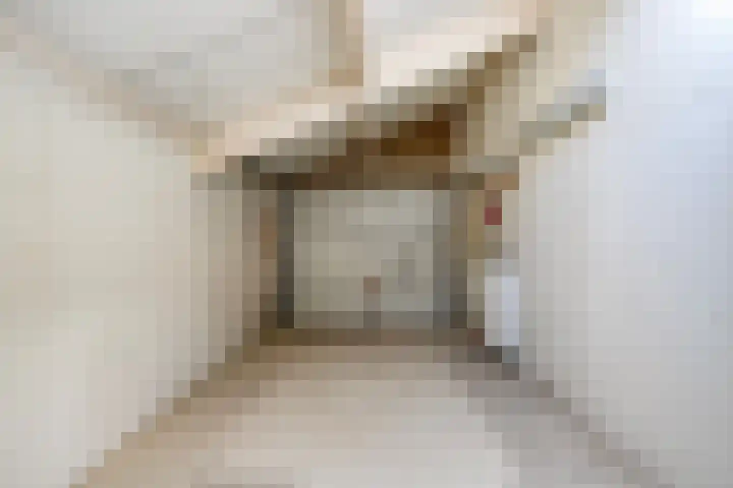 Het Noorderlicht 6 Dronten thumbnail 47