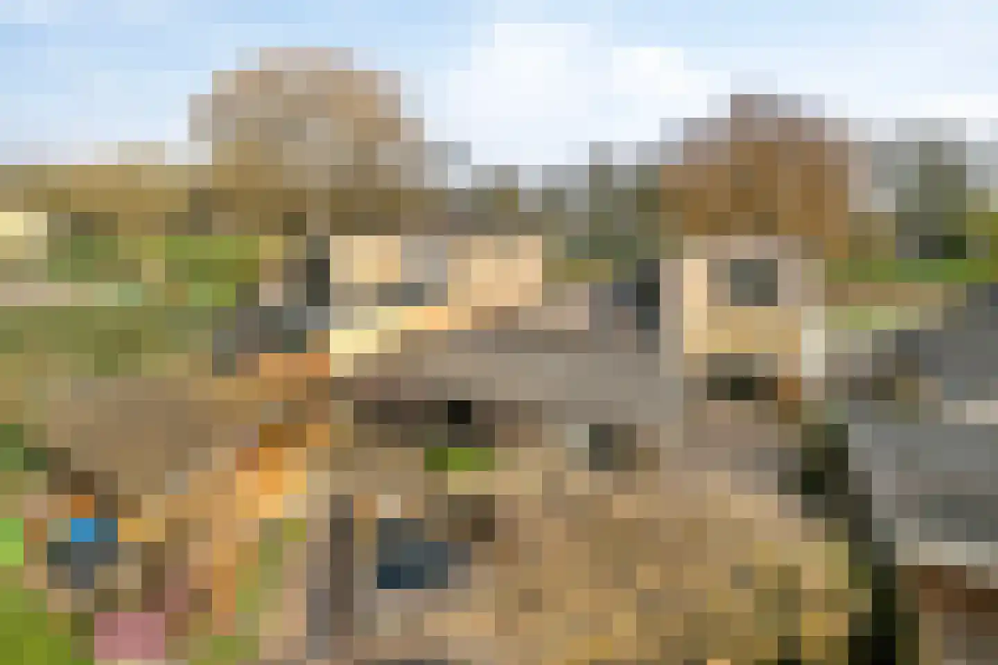 Het Noorderlicht 6 Dronten thumbnail 54