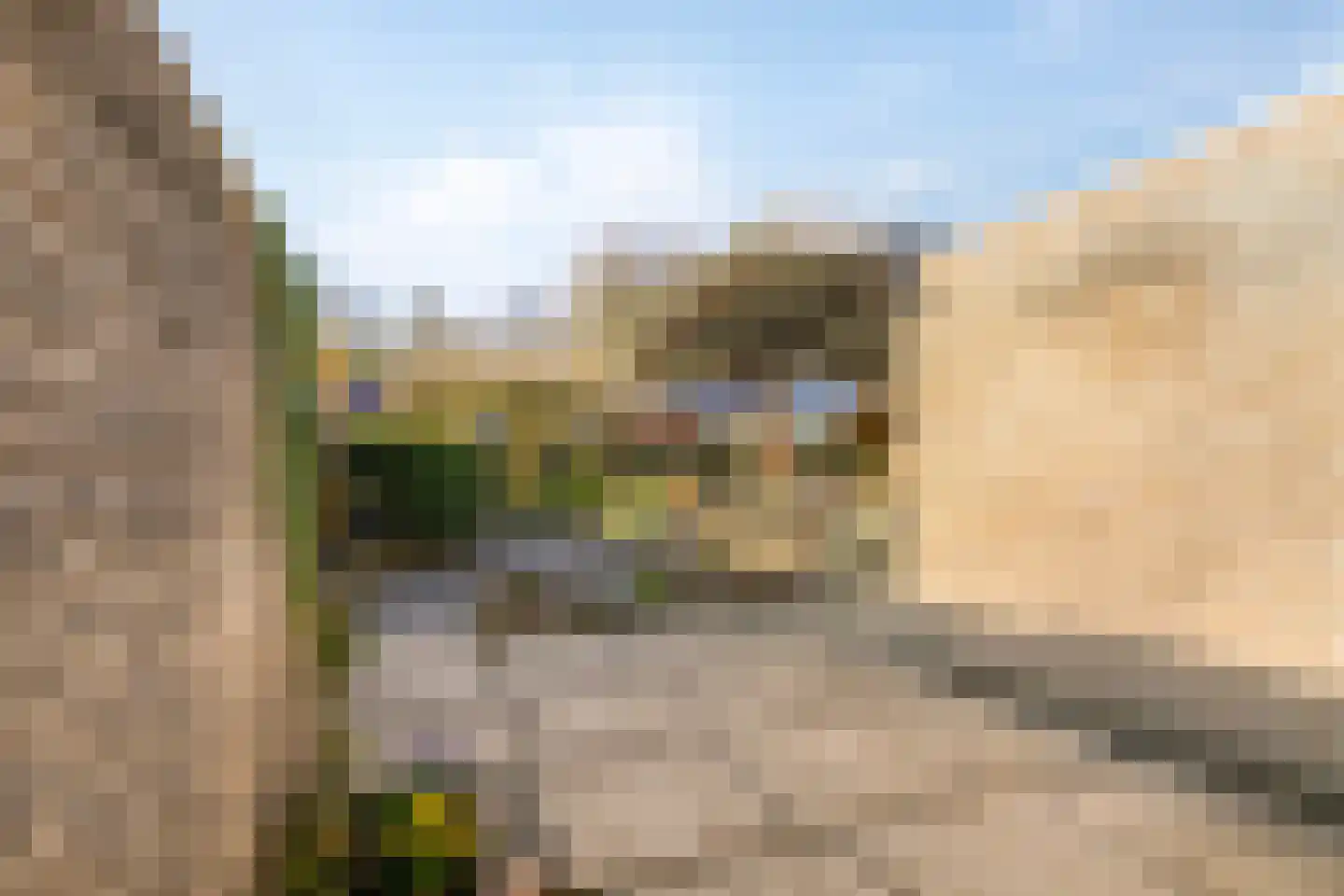 Het Noorderlicht 6 Dronten thumbnail 56