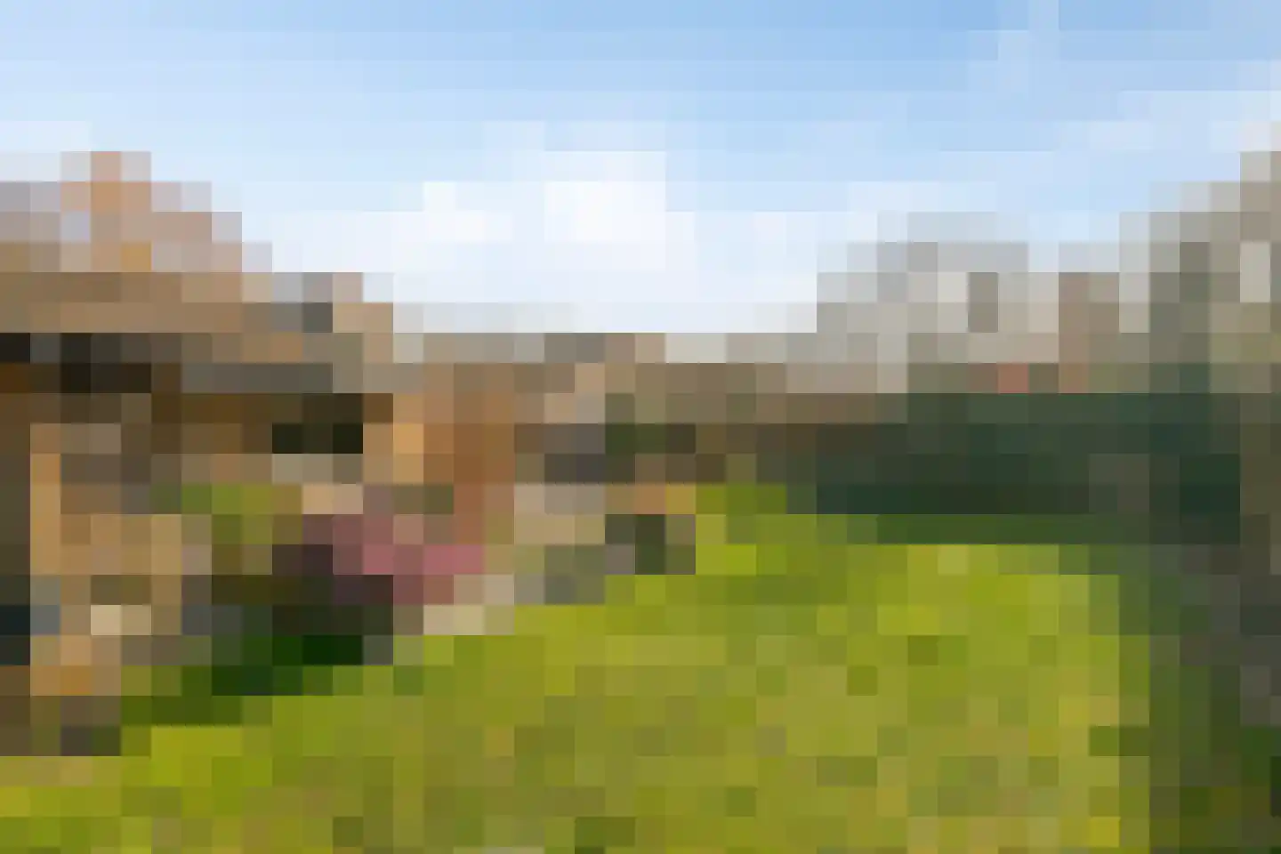 Het Noorderlicht 6 Dronten thumbnail 59