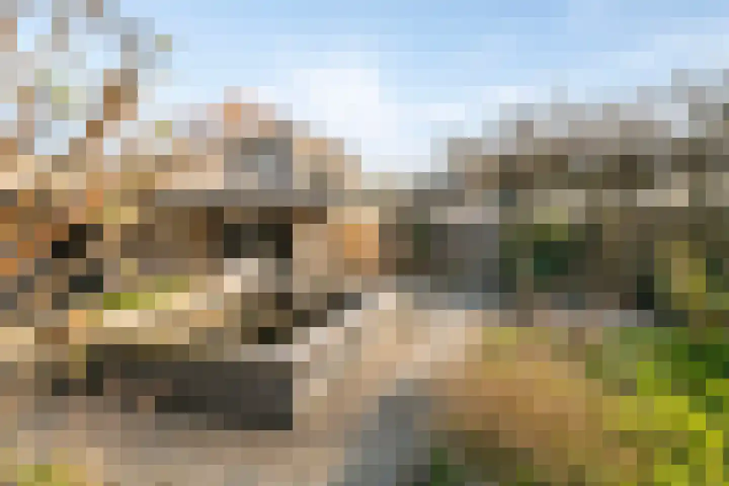 Het Noorderlicht 6 Dronten thumbnail 60