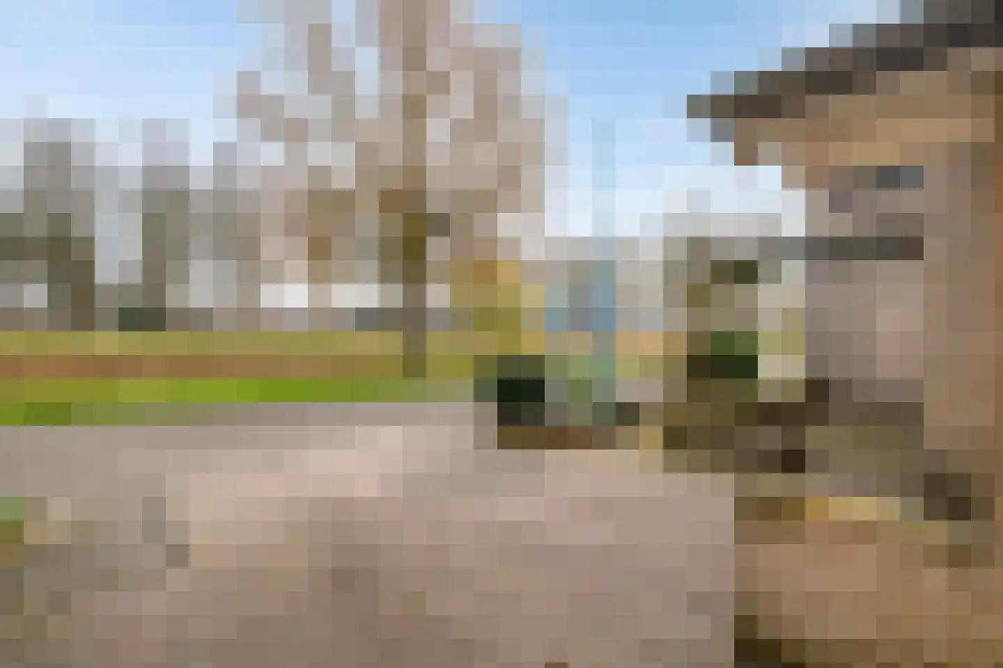 Het Noorderlicht 6 Dronten thumbnail 61