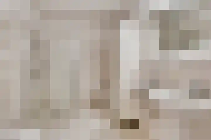 Het Nuesink 12 Eefde thumbnail 17