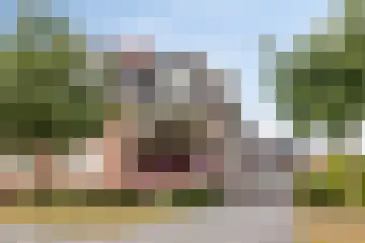 Het Nuesink 12 Eefde thumbnail 31