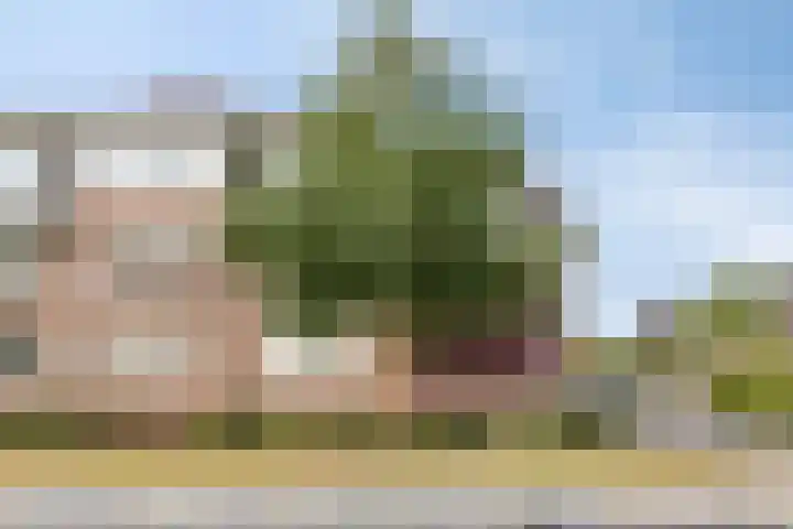 Het Nuesink 12 Eefde thumbnail 32